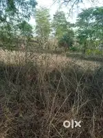 Best agriculture land