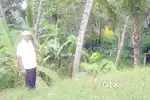 5 cent plot near melpuram