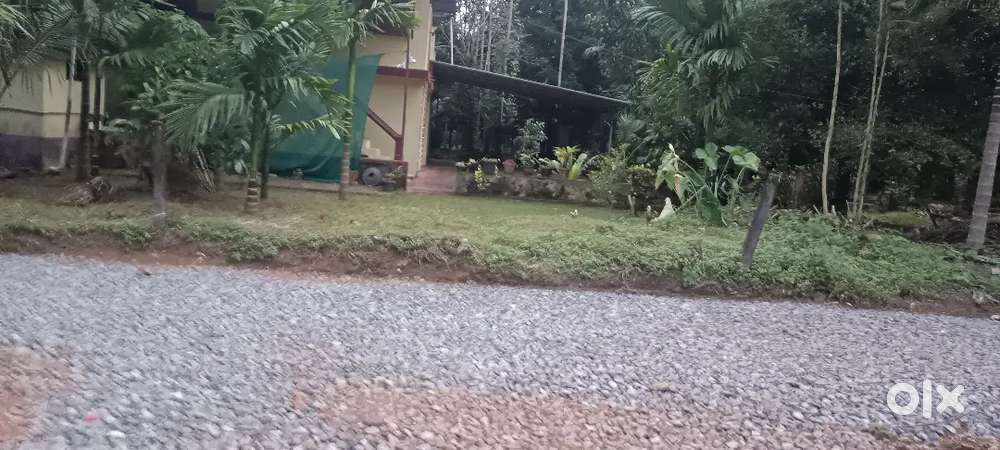 അങ്കമാലി കൊരട്ടി ചിറങ്ങരയിൽ  4 സെൻ്റ് മുതൽ ബസ്സ്റൂട്ടിന് സമീപം