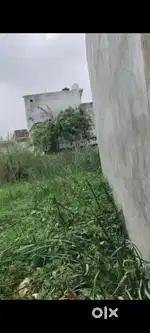 Bharwaliya Buzurg me hai