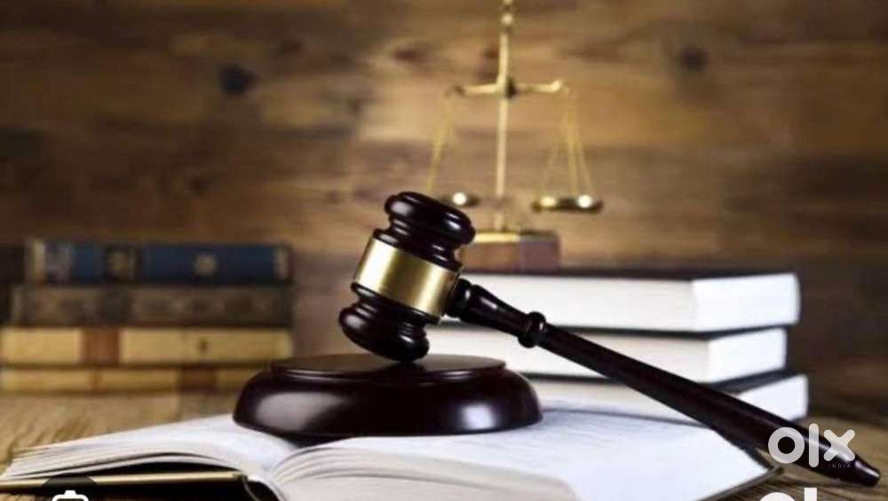 Advocate consulting and Notary service