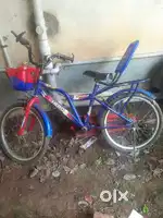 Inch 26 best cycle