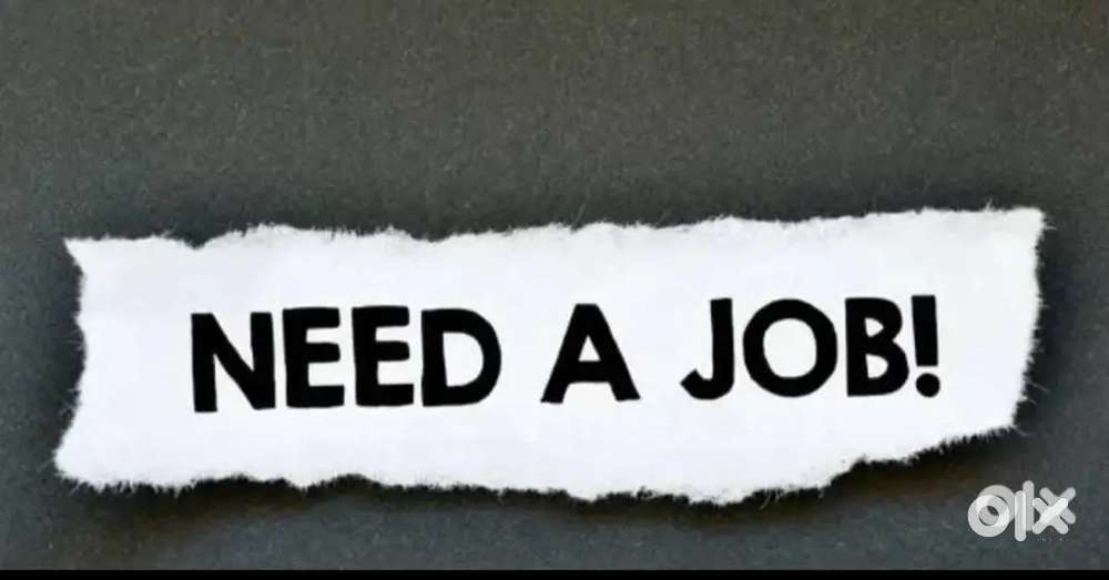 I need job