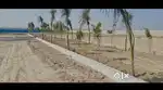 50 gaj se 1000 gaj tak plot Faridabad available pakki Regeistry