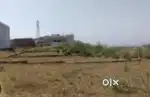Dinanagr city ,6.5 marla plot
