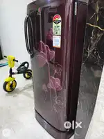 LG 4star rating 190 litre Refrigerator