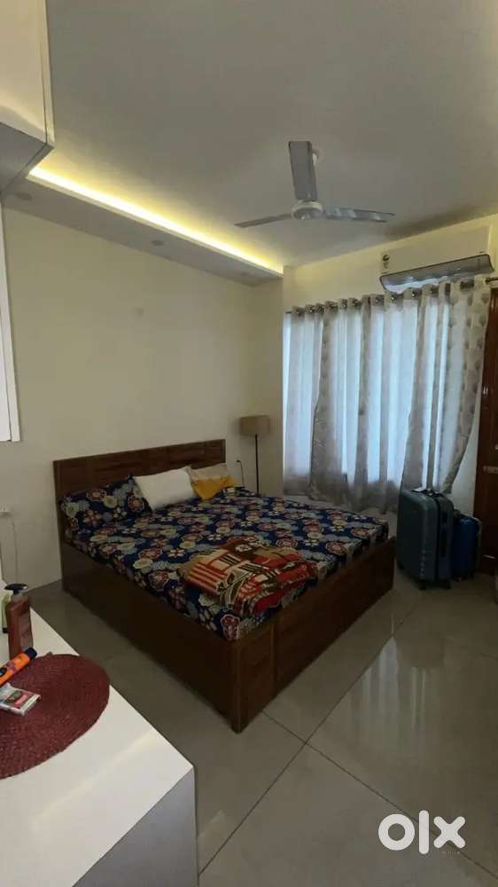 GROUND FLOOR ONE ROOM FULLY FURNISHED SET HOUSE AVAILABLE ON SEC 15
