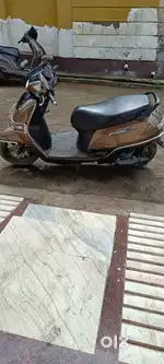 Only 11 months old