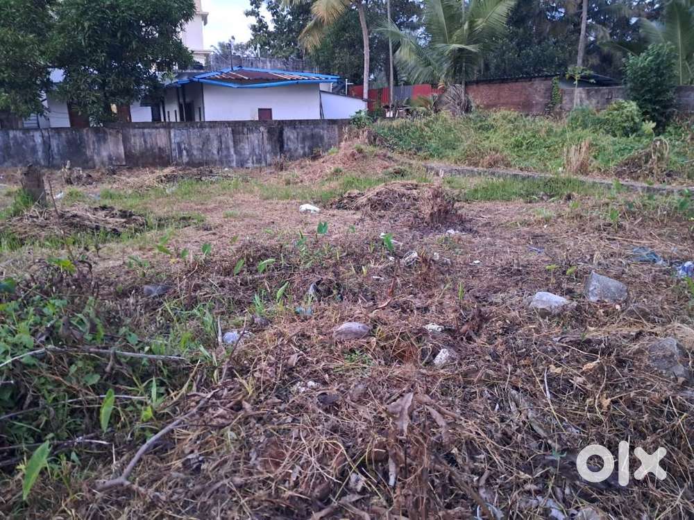 6 Cents of Prime Residential Property in Kadavanthra.