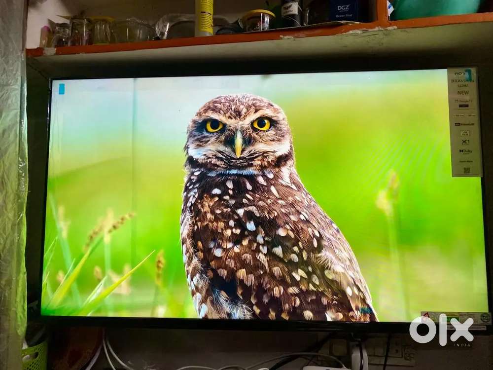 Sony Bravia 2 just 10 days