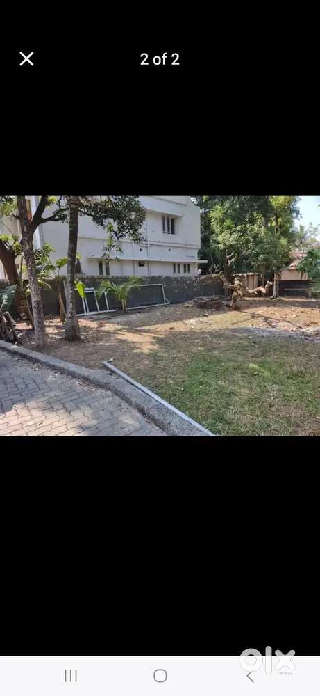 Commercial land at Thammanam