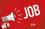 Required male and female candidate for banking and insurance job