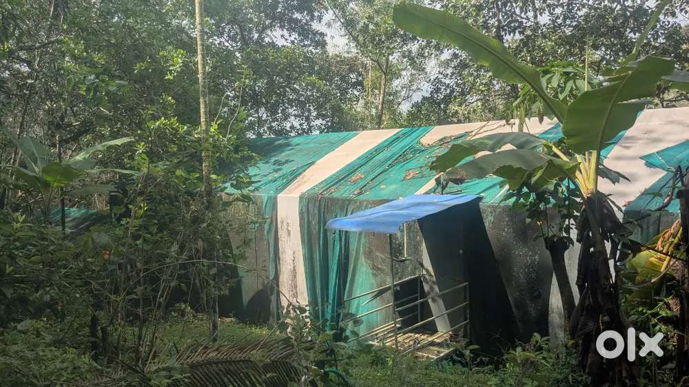 Mushroom Farm for rent