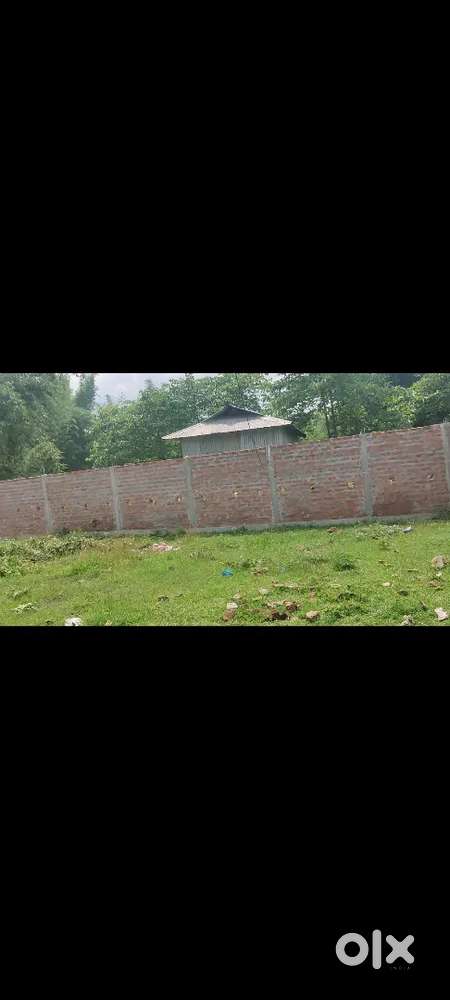 Good area, 25 lesa land