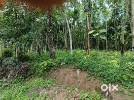Rubber estate for sale