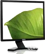 Dell Monitor 19 inch
