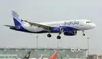 Need ground staff and ticketing in cochin international airport