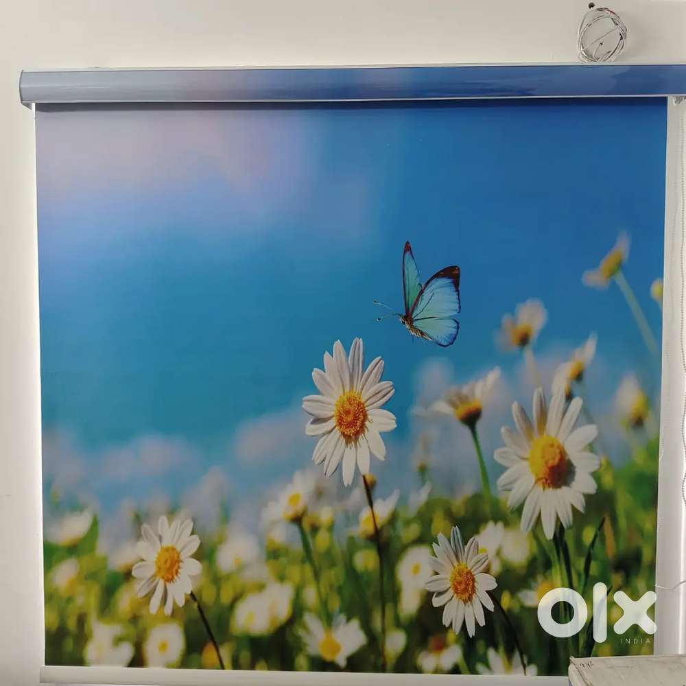 Blinds for your house