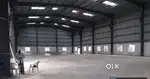On Rent Industrial Shed 6000 Sq.Ft in Chikhali Shelar Wasti.
