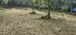 Land, kara bhumi. No flooded area