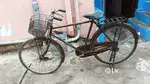 Aavaan cycle