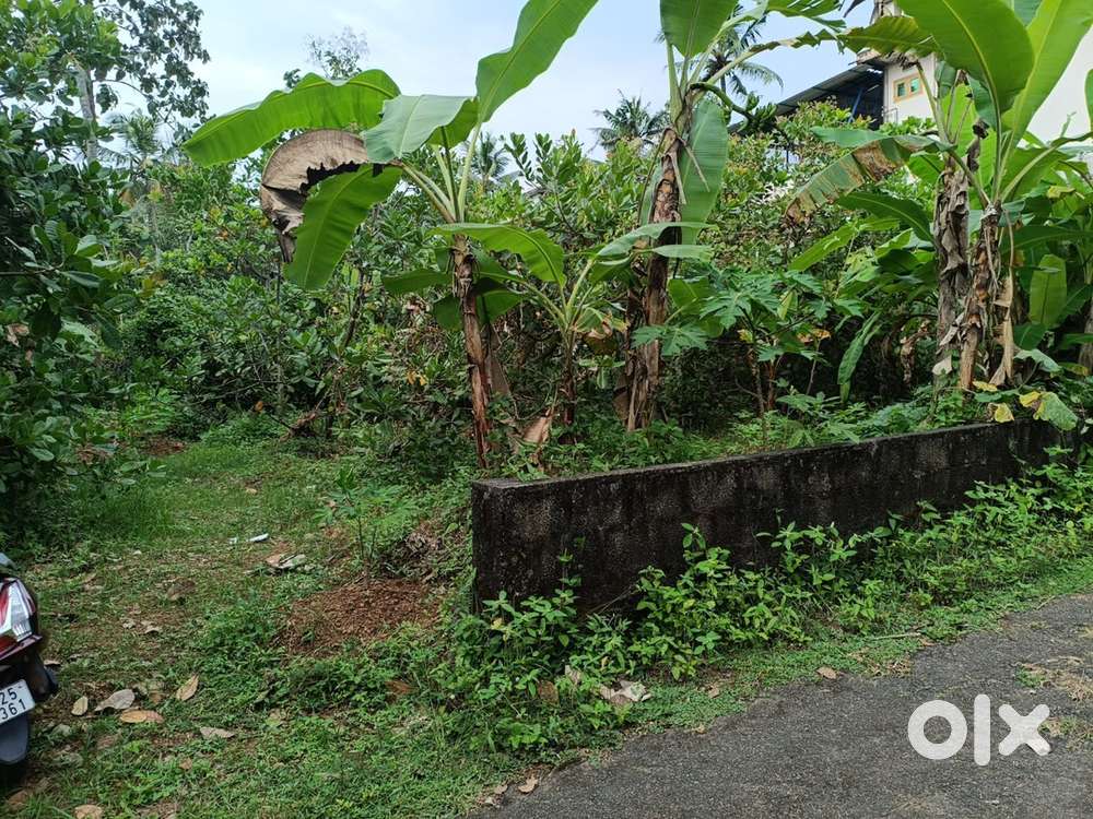 10 Cent House plot for sale- Anchal,Alanchery - URGENT SALE