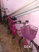 Cycle bill ke saath hai