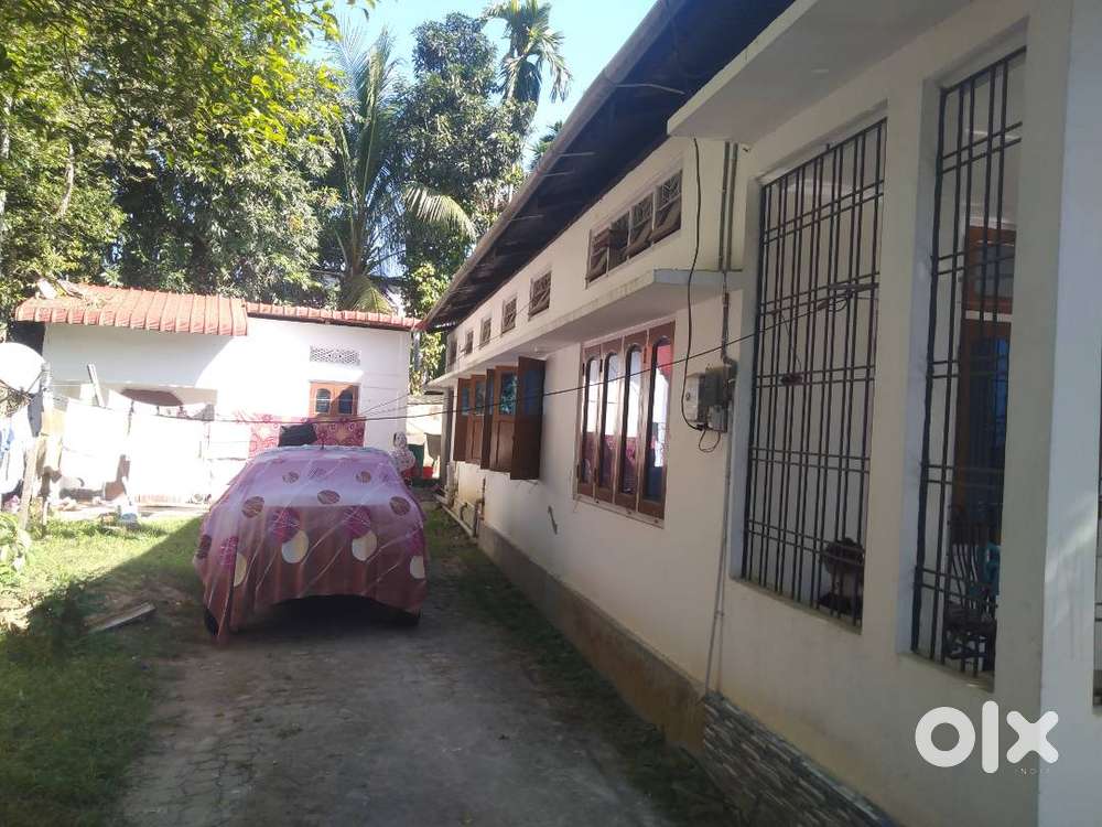 Land 1.5 kotha for sale.