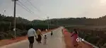 20 Cent Paddy View Land for Sale – Valad, Wayanad