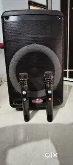 Party Speaker + Karaoke + 2 wireless Mics