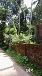 Property for immediate sale in kulshekar chowki.