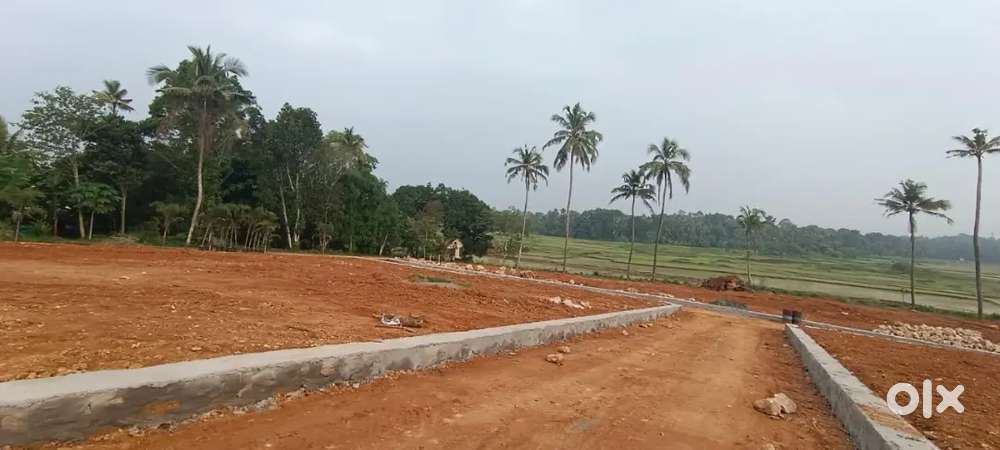 RESIDENTIAL PLOTS FOR SALE NEAR ANGAMALY PULIYANAM -4,5, CENTS ONWARDS