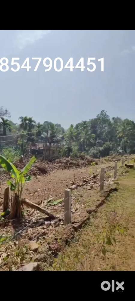 15 cent house plot for sale in kumbanad..1.45 lakh per cent