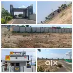 Land + contrstions