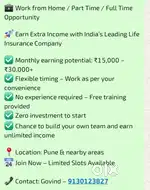 Work from Home / Part Time / Full Time Opportunity