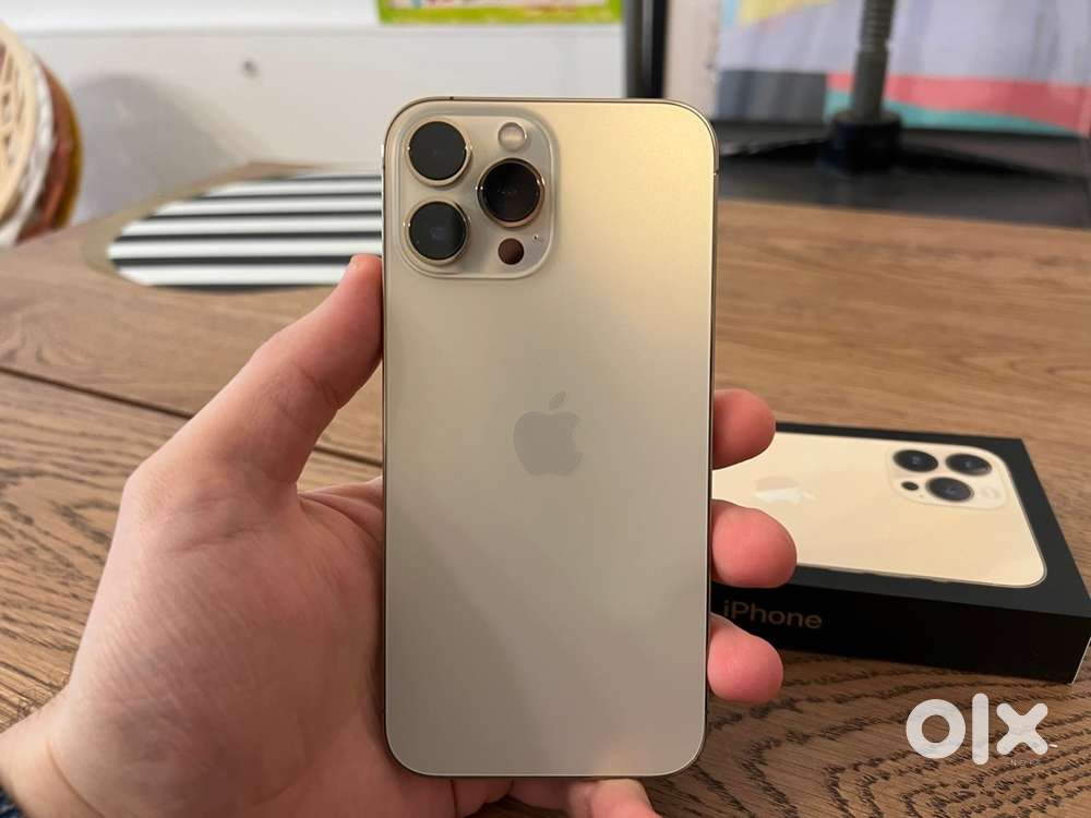 13 pro 1 TB GOLD
