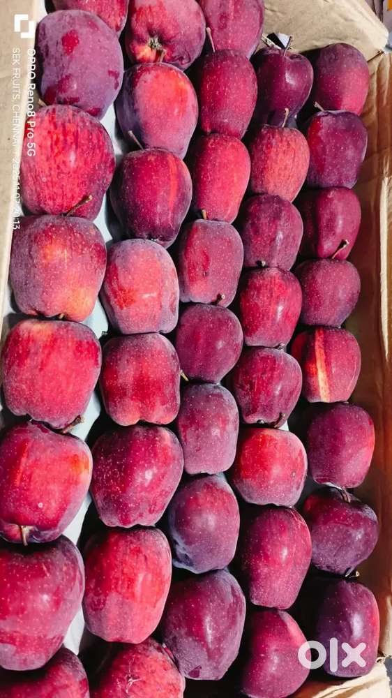 Sales person for retail fruit shop