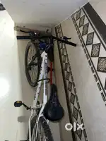 Cycle urban terrain brand new condition 2024 October