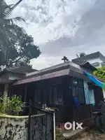 Low budget sharing room available