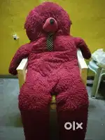 Teddy bear