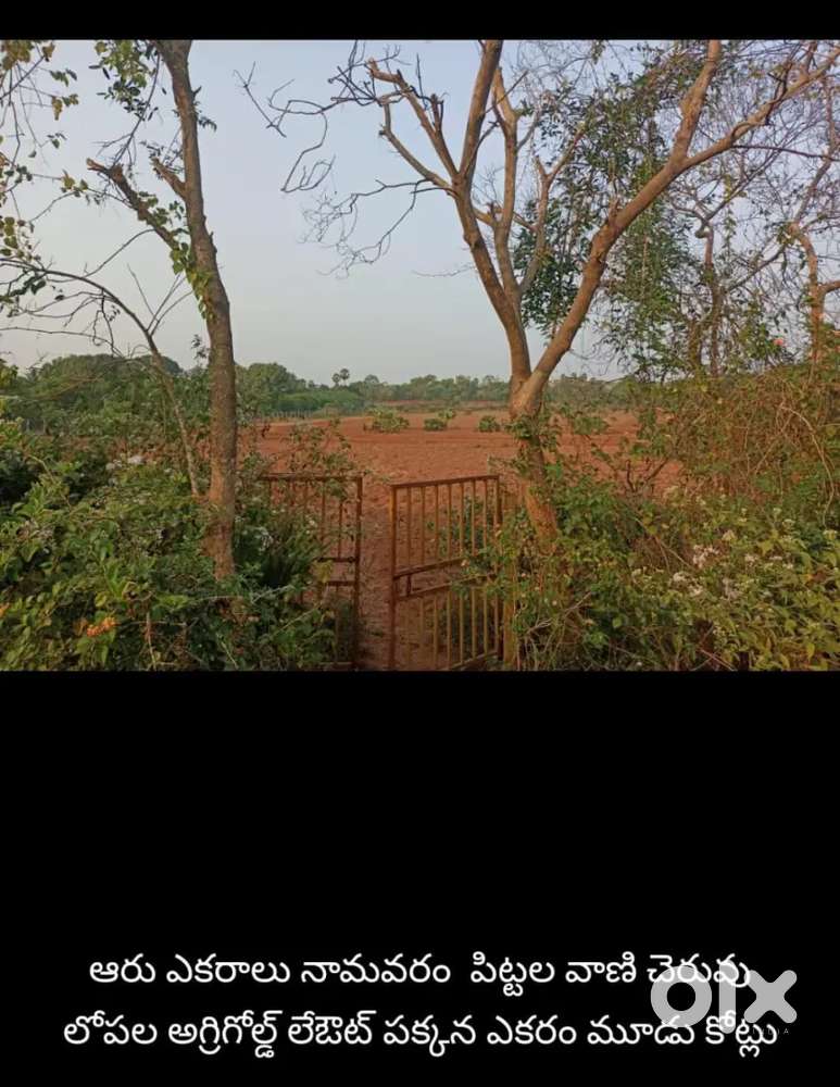 10 to 40 acres layout use lands available RJY & KKD