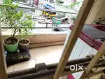 Duplex house