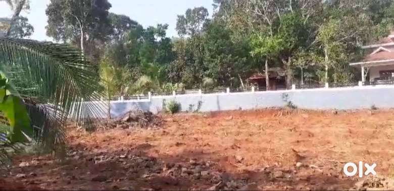 39cents of serene rectangular lorry accessible plot@Kalikavu-Vayala rd