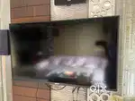 SONY 43” SMART TV
