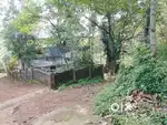 പത്തനംതിട്ട ജില്ലയിൽ ഇലവുംതിട്ട ഭാഗത്ത് വീട് വാടകയക്ക്