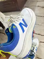 Cricket spikes shoes
