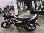 Honda Shine