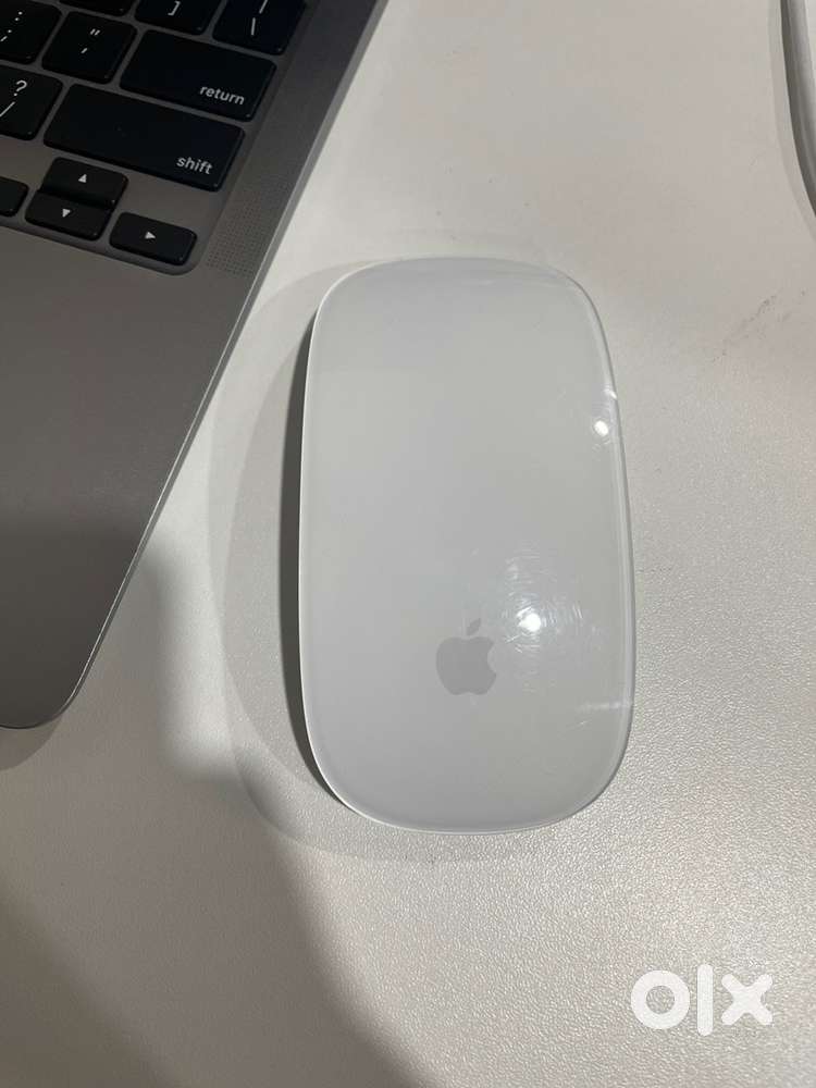Magic mouse 2