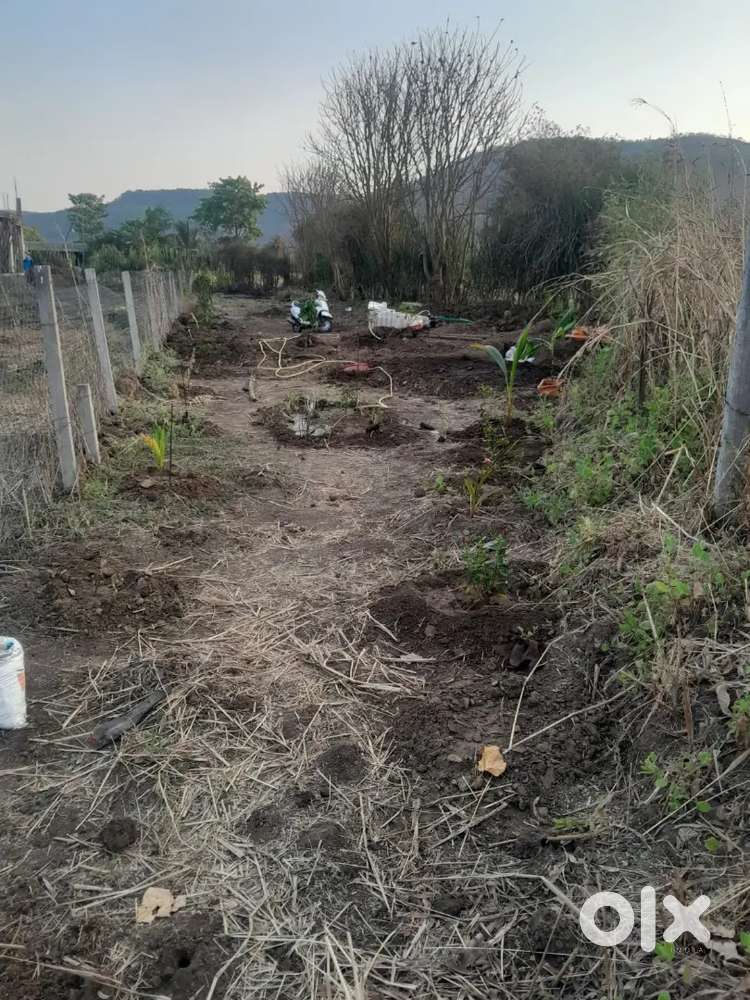 L plot for sale near nivi
