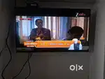 LED TV Intex